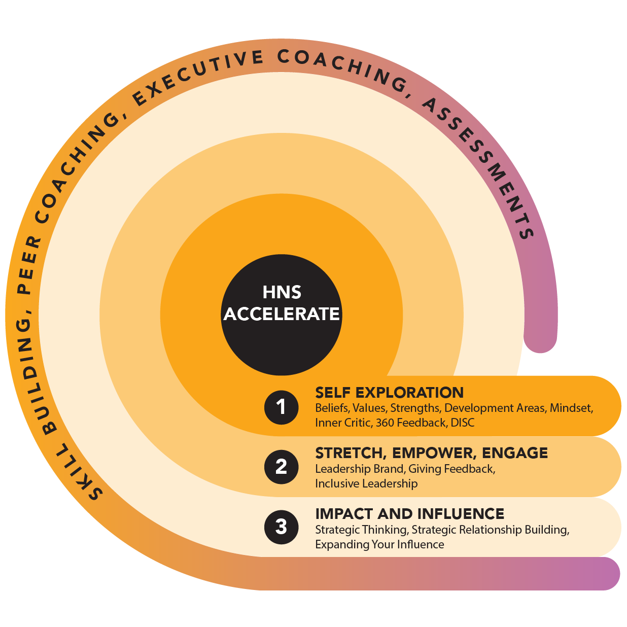 HNS ACCELERATE infographic - program features